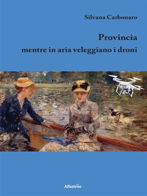 cover image of Provincia